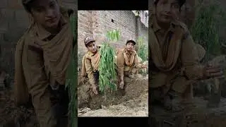 #MegaTreePlantation#PlantATree