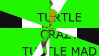TURTLE CRAZY