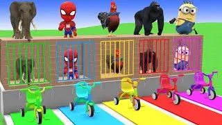 Long Slide Race With Elephant, Gorilla, Buffalo, Hippo & Tiger 🐘🦍🐃🐯 | Funny 3D Animals Racing Game