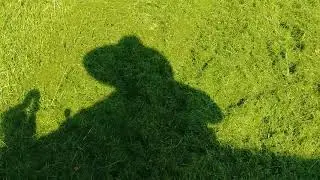 How to Cut tall wet grass part 2 echo means business