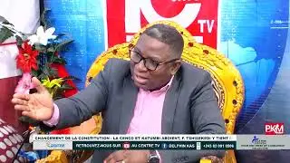 Delkas:l'article 217 de notre constitution, est-ce un acte de vente du Congo?D. N'kishe explique...