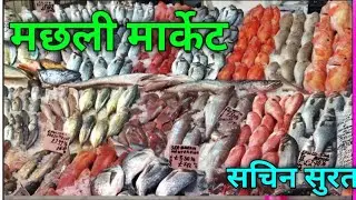 Fish market Sachin Surat || सूरत मछली मार्केट सचिन || Vlog video Ahmedabad Gujarat