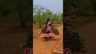 Невероятно! Этот мощный овощ навсегда меняет сельское хозяйство 😲🌿
