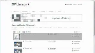 Digital Asset Management: Publish Assets on your Website or Brand Portal Using Picturepark DAM