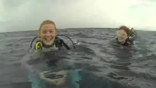 MV Leo - fish behaviour reenactment group feat. the happiest little fish alive