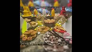 115. SeaShell vega - food - kwiecień ~2025~