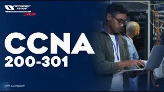 Live CCNA (Маршрутизация и коммутация) || Network Kings