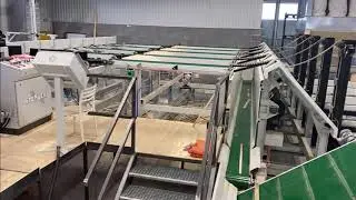 Stenner Twin Blade Resaw Material Handling Line