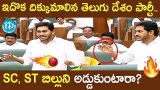 AP Assembly LIVE 2020 - Day 2: CM Jagan Serious Comments on Chandrababu Naidu Over SC and ST Bill