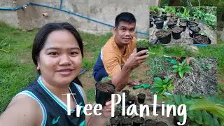 Tree Planting | Nature Vibes | Bohol Province PH | Gensil vlog