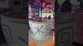 Top 5 Toddler Friendly Rides at Magic Kingdom