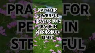 Find Peace Amid the Storm | A Powerful Prayer For Stress Relief. #motivation #prayer #fyp #grace
