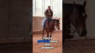 Fixing the Root of Your Horse's Problems #horse #horsetraining #myanimal