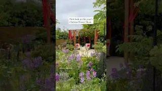 2025 Chelsea Flower Show Preview (details in description) #chelsea #london #chelseaflowershow