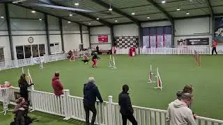 Turnier Westerwald, 14 12 25, Beegy, J3, Dis kurz vor Schluß