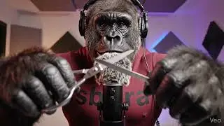 ASMR 1 ORA &mdash; Trigger Intensi per Brividi Assicurati 😳💤