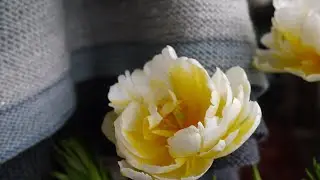 Berke Creations Podcast | Ep.21.| Begin Again| Knitting