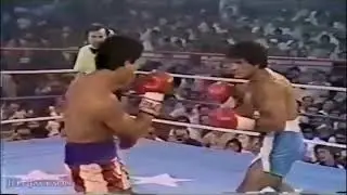 Salvador S&aacute;nchez vs Wilfredo G&oacute;mez 