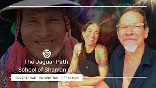 Energy Medicine and Shamanic Practitioner Training : 9 Months to Transformation