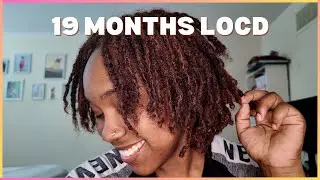 19 Month Loc Update | Braidloc Journey