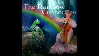 🌈🐸✨The Rainbow Connection🍯🎶✨/ Cellist Ellen Cameron / www.blonde-in-black.com