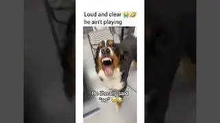 He literally said &ldquo;NO&rdquo;