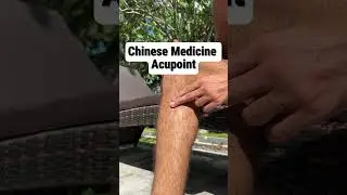 Chinese Medicine Stomach Acupoint