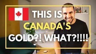 Money Heist: Maple Syrup Edition