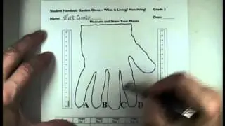 Rick Crosslin Science Garden Glove Investigation