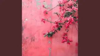 All Pink Everything