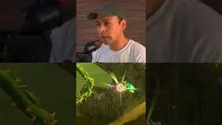 Reyman ramas y espinas