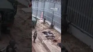 🚨 Surge in illegal crossings at the Polish-Belarusian border