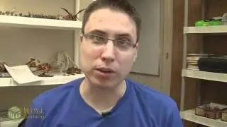 New Contest - Help MiniWarGaming Design a New T-shirt