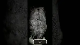 Nebka (ordinary chondrite)