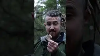 The Fungus That Carries Fire 🔥 (Primitive Survival Trick) Pūtawa &mdash;Hoof Fungus. #survival