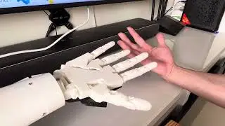 Motion tracking inmoov hand using Hailo accelerator