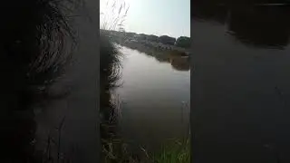 Fishing At Canal bank | Fishing Rod Red color #pakistan #catchandcook #hunting #fishing #reels #love