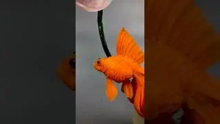 Carrot carving fish 🥕 🥕 #animalcarving #animalvegetablecarving #vegetablecarvingart