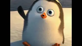 Das ist ein Video ohne Ton trotz