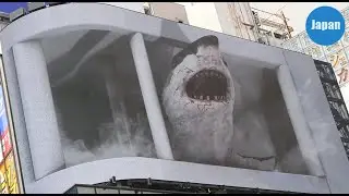 killer shark japan shark attack 映画 温泉シャーク 予告 平沢進 サメ映画 ジョーズ jaws ride 人喰いザメ the meg 3 상어 영화 일본  新宿