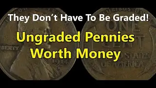 You Don't Have to Grade These Pennies - They're Worth Money UNGRADED!