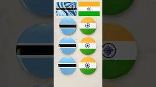 India 🇮🇳 & Botswana 🇧🇼Flag Painting on Coin | Peace Art #shorts #flage #drawing