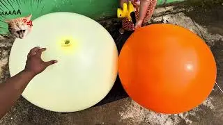 BALLOON TEST: INFLATED vs. DEFLATED 🎈 WHICH IS MORE EXTREME?