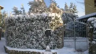 Piturnella by winter.wmv
