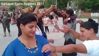 Zarnik 2017