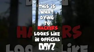 This is What Dying to Hackers Looks Like in Official DayZ&hellip; #dayz #shorts