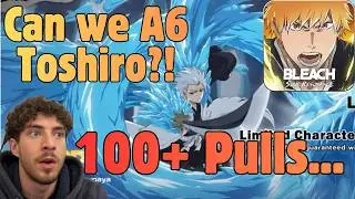 A6 Toshiro Took HOW MANY PULLS?! Bleach Soul Resonance