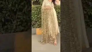 Viral Dupatta Designs/ Mirror work Dupatta Designs/ Designer posheeda Sheesh Dupatta #shorts​