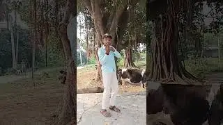 Monti😈maljari😍ka😋dance😎