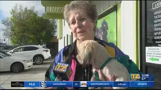 Bakersfield woman, 80, camps overnight to adopt dream dog